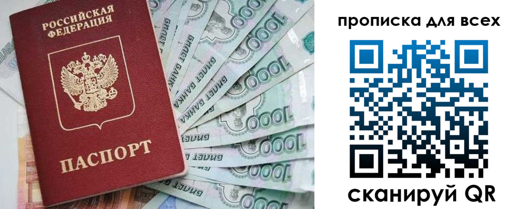 прописка гарантия в Фокино
